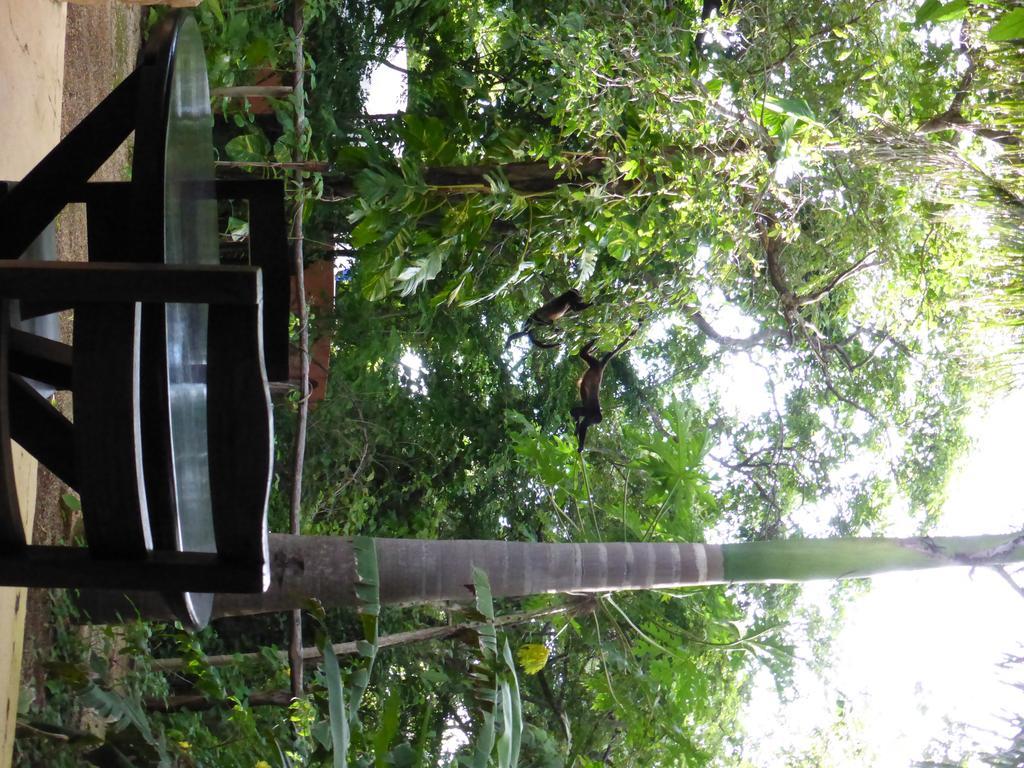 Mundo Milo Eco Lodge Paraíso Esterno foto